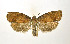  ( - NHMO-DAR-9267)  @13 [ ] CreativeCommons - Attribution Non-Commercial Share-Alike (2016) Unspecified University of Oslo, Natural History Museum