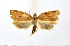  ( - NHMO-DAR-9269)  @13 [ ] CreativeCommons - Attribution Non-Commercial Share-Alike (2016) Unspecified University of Oslo, Natural History Museum