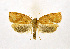  ( - NHMO-DAR-9317)  @14 [ ] CreativeCommons - Attribution Non-Commercial Share-Alike (2016) Unspecified University of Oslo, Natural History Museum