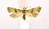  ( - NHMO-DAR-9329)  @12 [ ] CreativeCommons - Attribution Non-Commercial Share-Alike (2016) Unspecified University of Oslo, Natural History Museum