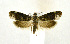  (Namasia - NHMO-DAR-9343)  @12 [ ] CreativeCommons - Attribution Non-Commercial Share-Alike (2016) Unspecified University of Oslo, Natural History Museum
