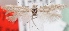  (Scythris astacoides - KN00647)  @14 [ ] CreativeCommons - Attribution Non-Commercial (2014) Marko Mutanen University of Oulu
