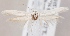  (Scythris salinella - KN00648)  @14 [ ] CreativeCommons - Attribution Non-Commercial (2014) Marko Mutanen University of Oulu