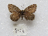  ( - MACN-Bar-Lep-ct 09146)  @11 [ ] Copyright (2022) MACN Museo Argentino de Ciencias Naturales "Bernardino Rivadavia"