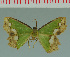  ( - MNVD-00213-C10)  @13 [ ] Copyright (2010) Unspecified Research Collection of Timm Karisch