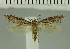  ( - MNVD-11448-B05)  @11 [ ] CreativeCommons - Attribution Non-Commercial (2018) T. Karisch MNVD