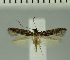  ( - MNVD-11448-E05)  @11 [ ] CreativeCommons - Attribution Non-Commercial (2018) T. Karisch MNVD