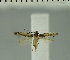  ( - MNVD-11448-E06)  @11 [ ] CreativeCommons - Attribution Non-Commercial (2018) T. Karisch MNVD