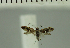  ( - MNVD-11449-A11)  @11 [ ] CreativeCommons - Attribution Non-Commercial (2018) T. Karisch MNVD