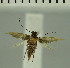  ( - MNVD-11449-B09)  @11 [ ] CreativeCommons - Attribution Non-Commercial (2018) T. Karisch MNVD
