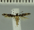  ( - MNVD-11449-E12)  @11 [ ] CreativeCommons - Attribution Non-Commercial (2018) T. Karisch MNVD