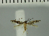  ( - MNVD-11449-F02)  @11 [ ] CreativeCommons - Attribution Non-Commercial (2018) T. Karisch MNVD