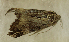  ( - MNVD-45453_D02)  @11 [ ] by-nc (2023) T.Karisch MNVD