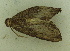  ( - MNVD-46770-C08)  @11 [ ] by-nc (2025) T.Karisch MNVD