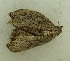  ( - MNVD-46770-F09)  @11 [ ] by-nc (2025) T.Karisch MNVD