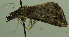  ( - MNVD-48280_D07)  @11 [ ] by-nc (2024) T.Karisch MNVD