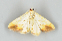  ( - KF19003)  @13 [ ] CreativeCommons  Attribution Non-Commercial No Derivatives (2019) Brigitte Gottsberger University of Vienna, Department of Botany and Biodiversity research