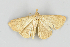  ( - KF19004)  @12 [ ] CreativeCommons  Attribution Non-Commercial No Derivatives (2019) Brigitte Gottsberger University of Vienna, Department of Botany and Biodiversity research