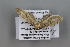  ( - KF19026)  @12 [ ] by-nc-sa (2019) Brigitte Gottsberger University of Vienna, Dept of Botany and Biodiversity Research
