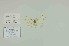  ( - BC-CT-MNHN0122)  @11 [ ] cc (2023) Claude Tautel  MNHN
