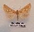  ( - BC-AL-Geo-00750)  @11 [ ] cc (2023) Antoine Leveque MNHN