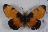  ( - TvW0004)  @11 [ ] No Rights Reserved  Unspecified Unspecified