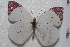  ( - TvW0007)  @14 [ ] No Rights Reserved  Unspecified Unspecified