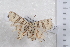  ( - TvW0058)  @11 [ ] No Rights Reserved  Unspecified Unspecified