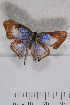  ( - TvW0160)  @12 [ ] No Rights Reserved  Unspecified Unspecified