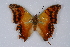  ( - TvW0191)  @12 [ ] No Rights Reserved  Unspecified Unspecified
