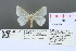  ( - RMNH.INS.13487)  @13 [ ] Unspecified (default): All Rights Reserved  Unspecified Unspecified