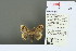  ( - RMNH.INS.13597)  @12 [ ] Unspecified (default): All Rights Reserved  Unspecified Unspecified