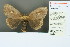  ( - RMNH.INS.13619)  @11 [ ] Unspecified (default): All Rights Reserved  Unspecified Unspecified
