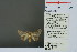  ( - RMNH.INS.13721)  @12 [ ] Unspecified (default): All Rights Reserved  Unspecified Unspecified
