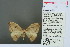  ( - RMNH.INS.13781)  @13 [ ] Unspecified (default): All Rights Reserved  Unspecified Unspecified