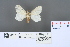 ( - RMNH.INS.13492)  @12 [ ] Unspecified (default): All Rights Reserved  Unspecified Unspecified