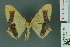  ( - RMNH.INS.13979)  @12 [ ] Unspecified (default): All Rights Reserved  Unspecified Unspecified