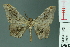  ( - RMNH.INS.13991)  @13 [ ] Unspecified (default): All Rights Reserved  Unspecified Unspecified