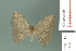  (Albara - RMNH.INS.14033)  @14 [ ] Unspecified (default): All Rights Reserved  Unspecified Unspecified
