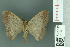  ( - RMNH.INS.14133)  @13 [ ] Unspecified (default): All Rights Reserved  Unspecified Unspecified