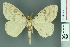  (Psilochira - RMNH.INS.14168)  @15 [ ] Unspecified (default): All Rights Reserved  Unspecified Unspecified
