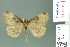  (Ilema - RMNH.INS.14201)  @14 [ ] Unspecified (default): All Rights Reserved  Unspecified Unspecified