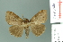  (Rhypotoses - RMNH.INS.14206)  @14 [ ] Unspecified (default): All Rights Reserved  Unspecified Unspecified
