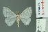  ( - RMNH.INS.14228)  @13 [ ] Unspecified (default): All Rights Reserved  Unspecified Unspecified