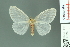  (Pantana - RMNH.INS.14230)  @14 [ ] Unspecified (default): All Rights Reserved  Unspecified Unspecified