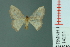  ( - RMNH.INS.14291)  @13 [ ] Unspecified (default): All Rights Reserved  Unspecified Unspecified