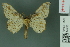  ( - RMNH.INS.14296)  @13 [ ] Unspecified (default): All Rights Reserved  Unspecified Unspecified