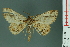  ( - RMNH.INS.14359)  @13 [ ] Unspecified (default): All Rights Reserved  Unspecified Unspecified