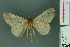  ( - RMNH.INS.14359)  @13 [ ] Unspecified (default): All Rights Reserved  Unspecified Unspecified