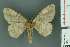  ( - RMNH.INS.14361)  @13 [ ] Unspecified (default): All Rights Reserved  Unspecified Unspecified